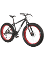 1.0 Fat Bike